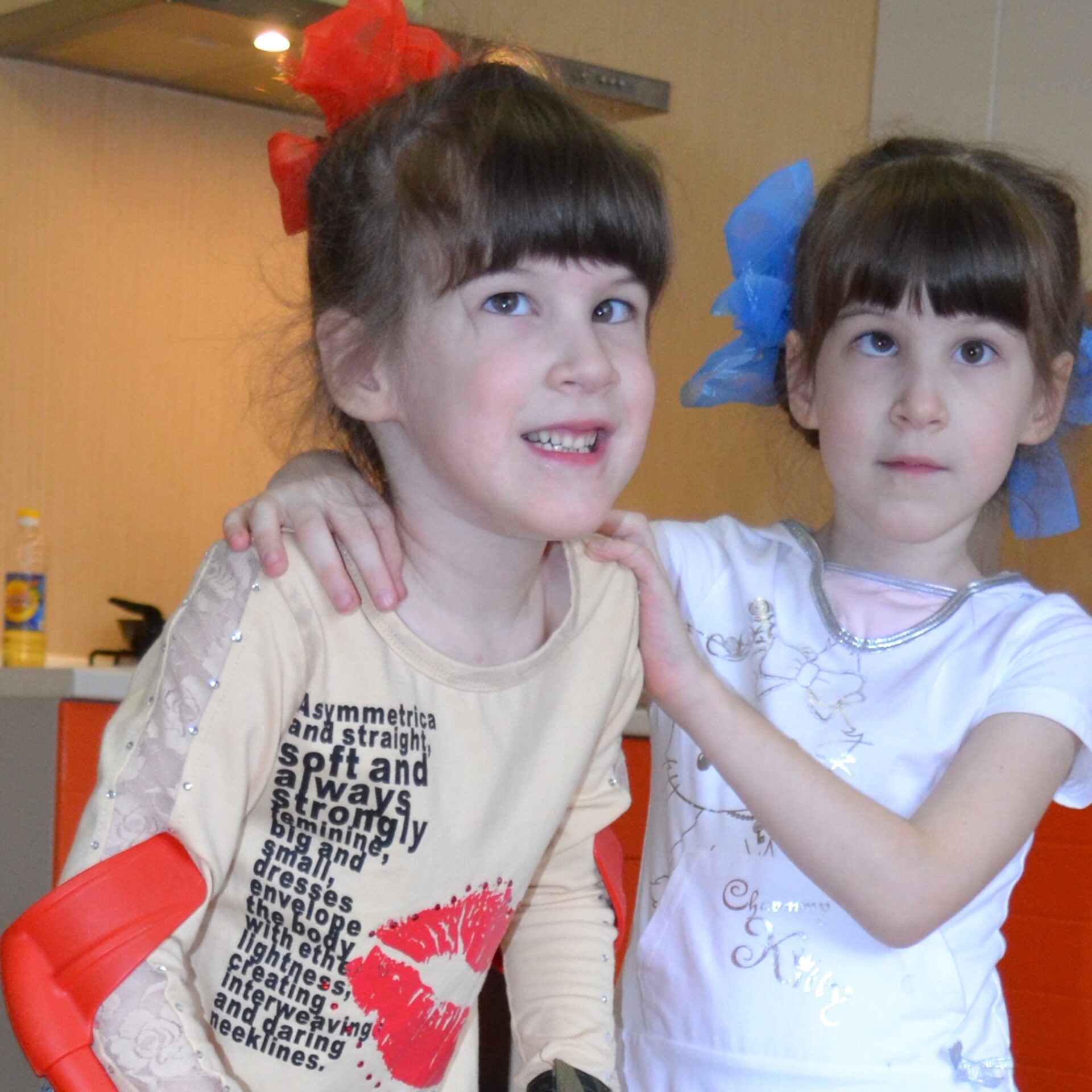 Бударины Даша и Маша — фото 1