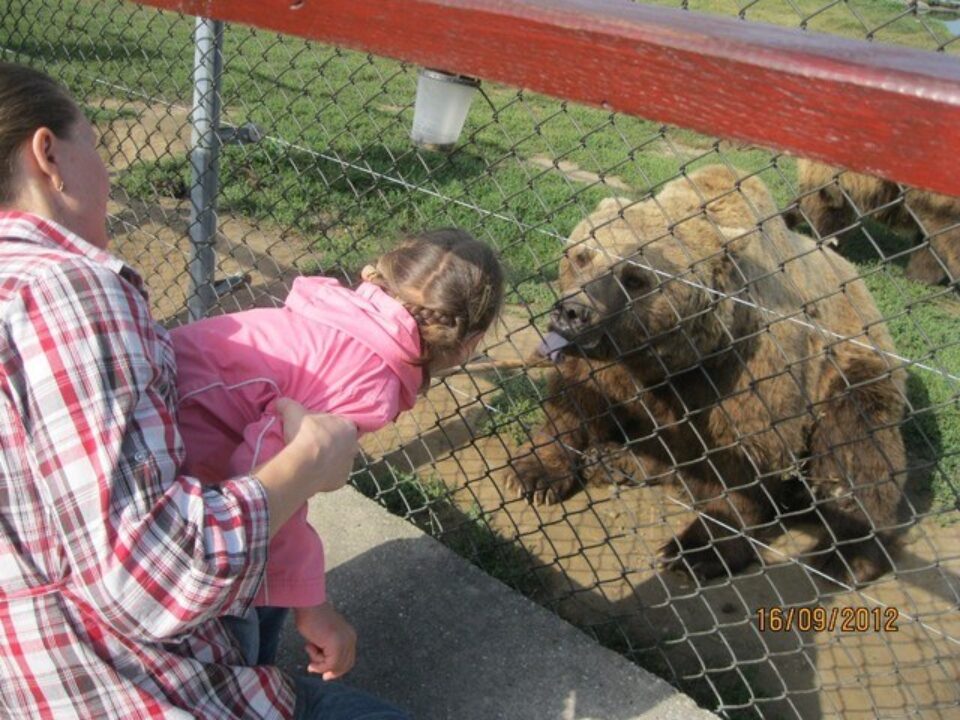 Анна Пашинова — фото 12