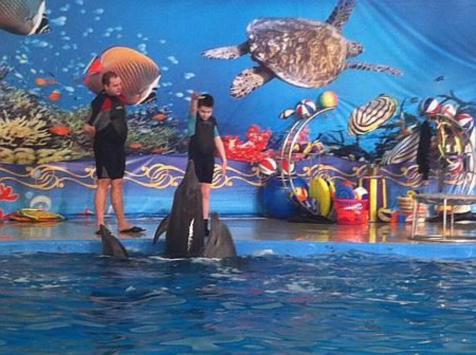 Даниил Плотницкий — фото 7