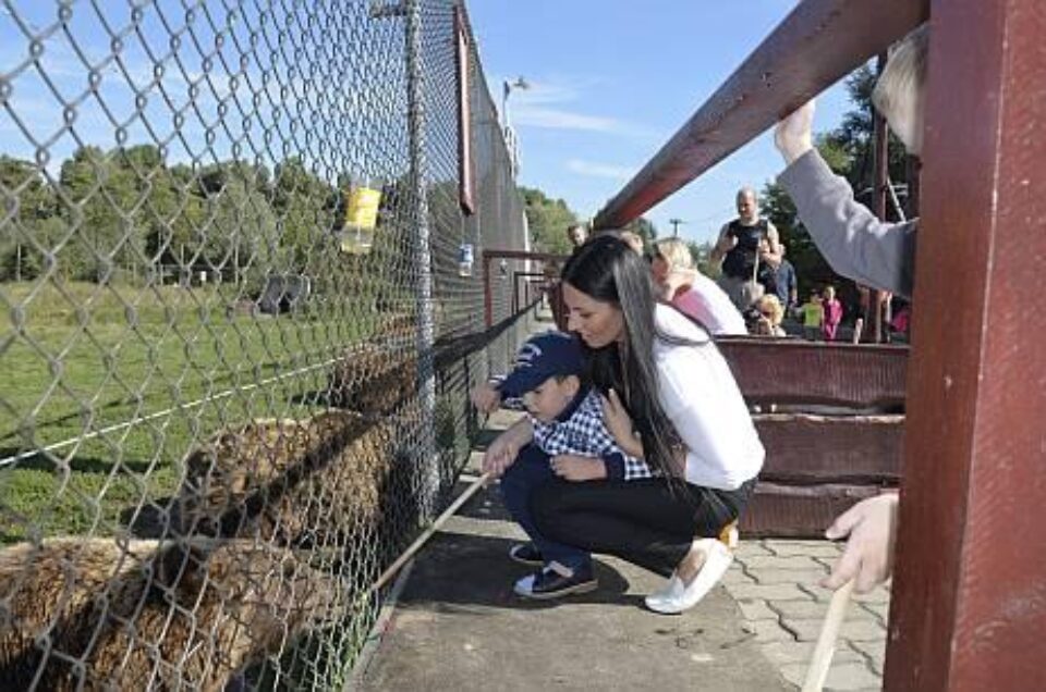 Иван Барутенко — фото 2