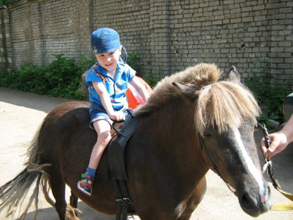 Арсений Шахмин — фото 2