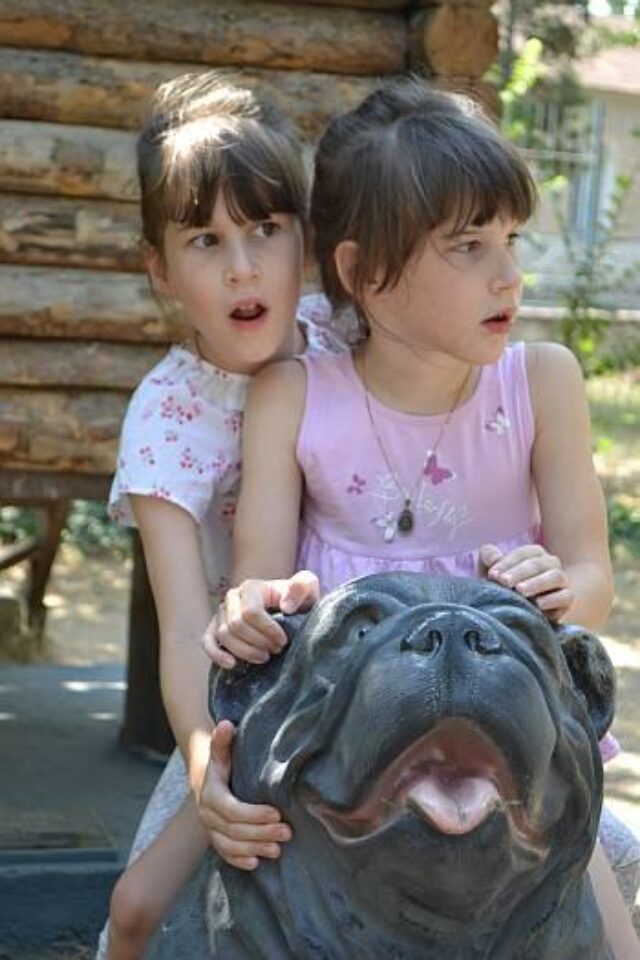 Дарья и Мария Бударины — фото 8