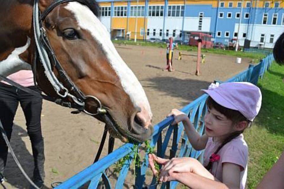 Дарья и Мария Бударины — фото 3