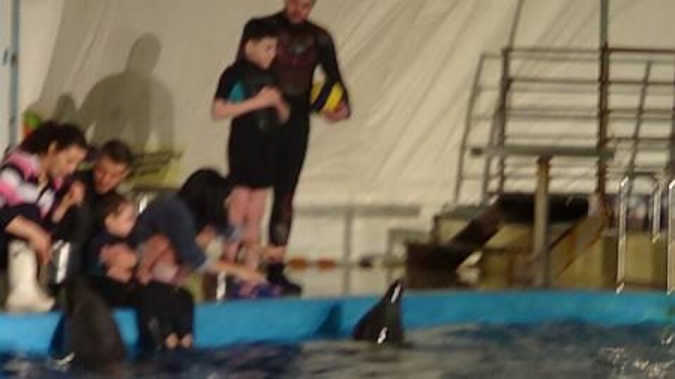 Даниил Плотницкий — фото 4