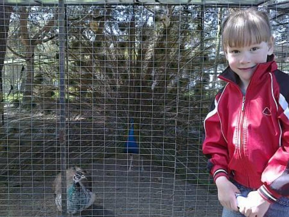 Эльвина Нигматьянова — фото 2