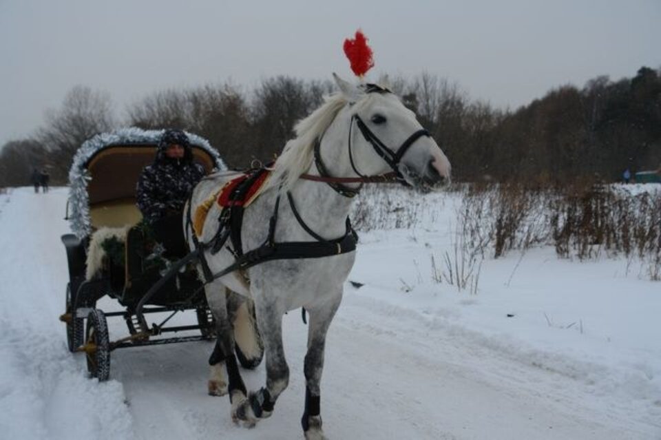 Широкая Масленница в Усадьбе Деда Мороза — фото 28