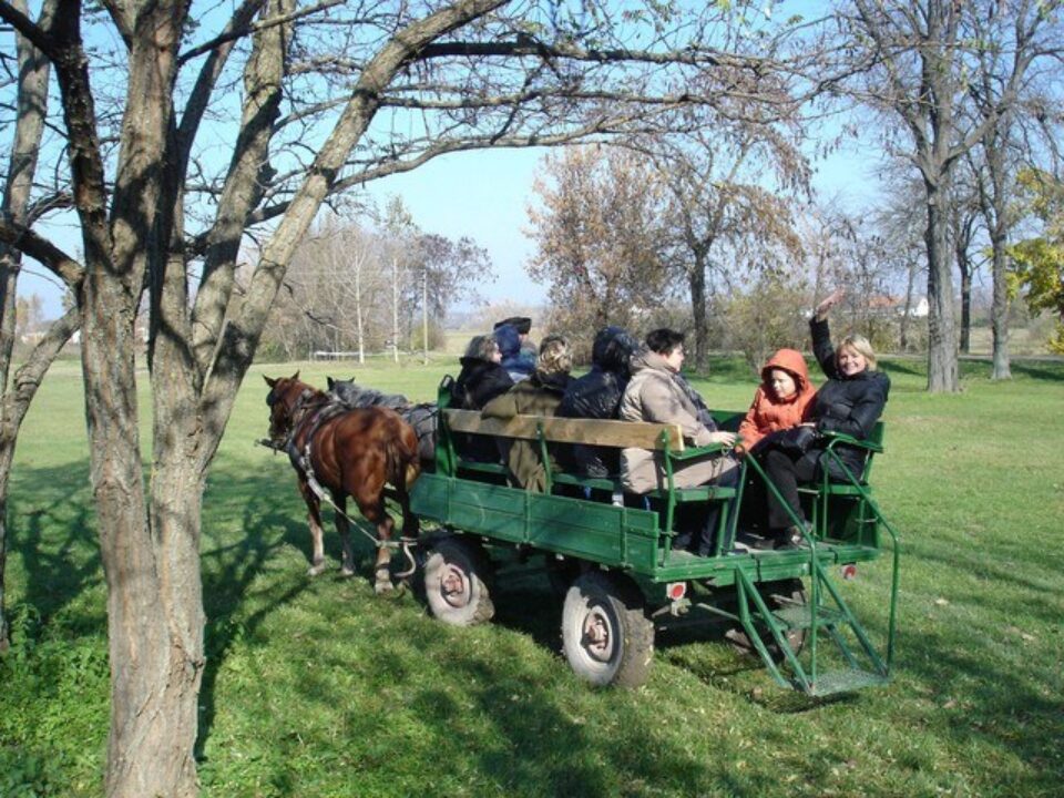 Второй заезд группы в Институт им.А.Петё — фото 4